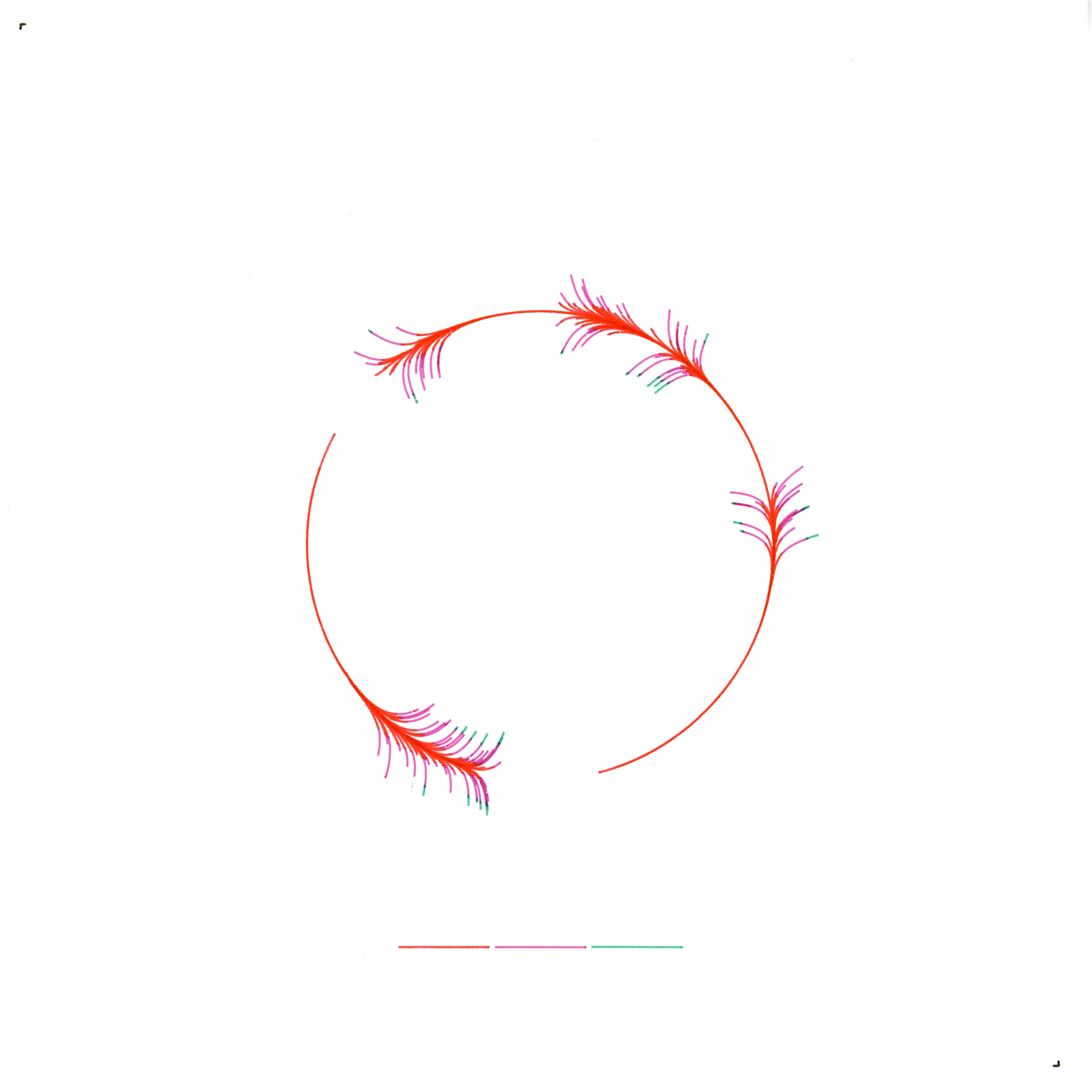 Murmuration Manifold